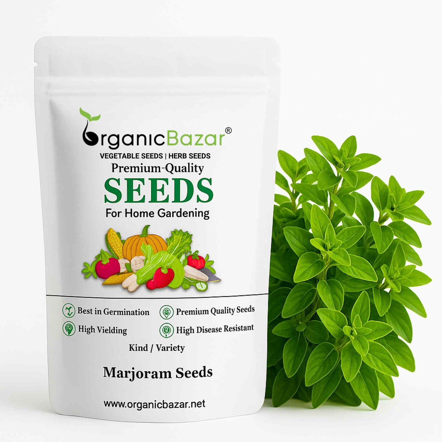 Marjoram Seeds (300 Seeds) High Germination/Perfect for pots, balconies, or Terrace gardens