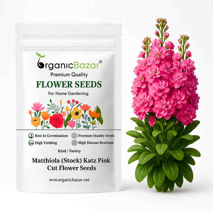 stock flower seeds Matthiola (Stock) Katz Pink Cut Flower Seeds (30 Seeds) High Germinati – Organicbazar
