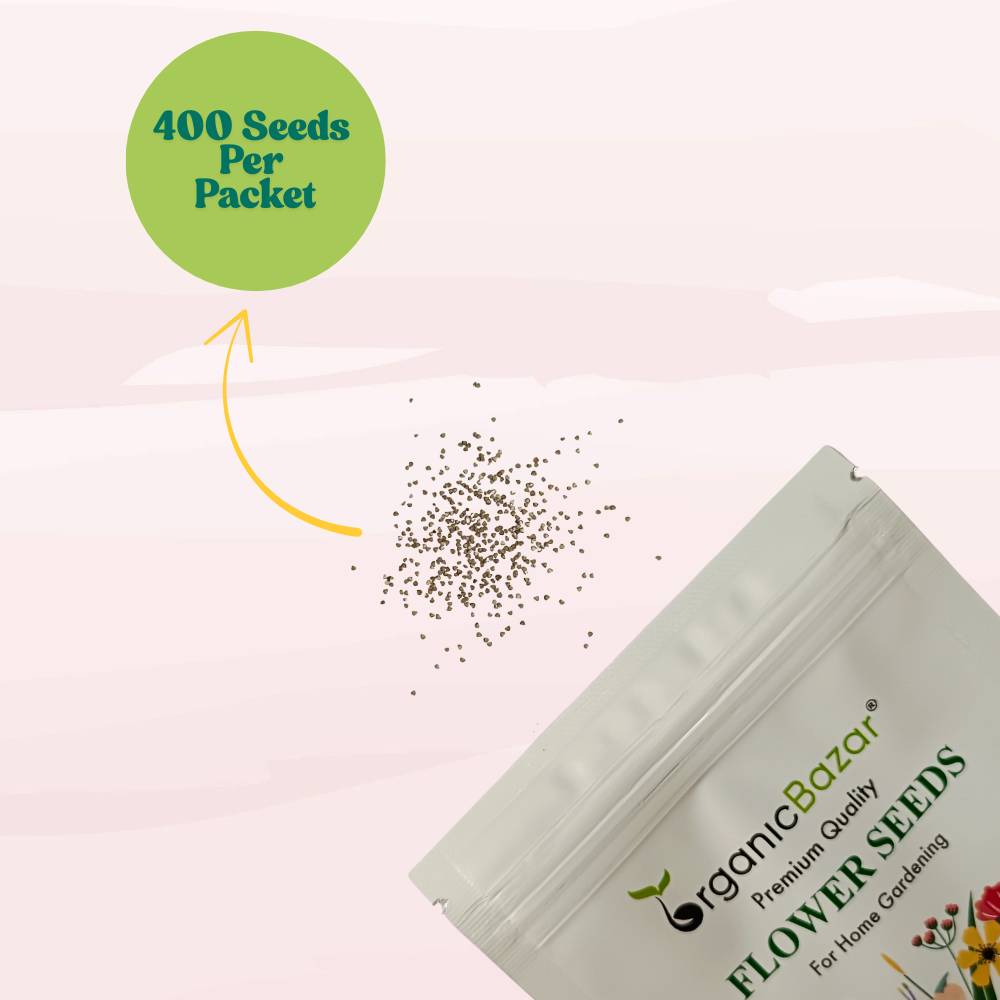 Mesembryanthemum Mix Seeds (400 Seeds) Easy To Grow, High Germination, Perfect for pots, balconies, or Terrace gardens