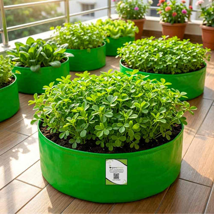 Methi Kasuri Seeds - 10g (मेथी के बीज)