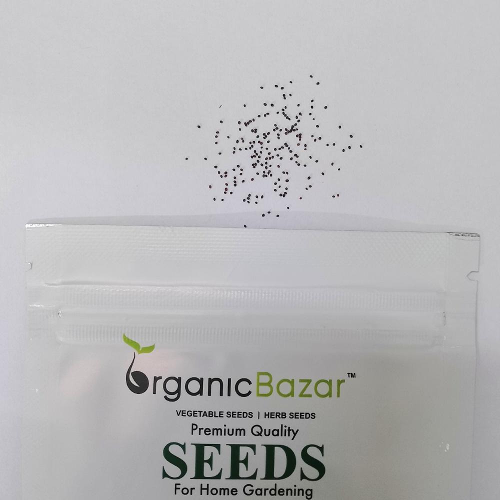 Mint/Peppermint (Mentha Pipreta) Seeds Pudina Ke Beej - पुदीना के बीज (200 Seeds)