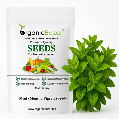 Mint/Peppermint (Mentha Pipreta) Seeds Pudina Ke Beej - पुदीना के बीज (200 Seeds)