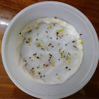 Mizuna Green Seeds (200 Seeds)