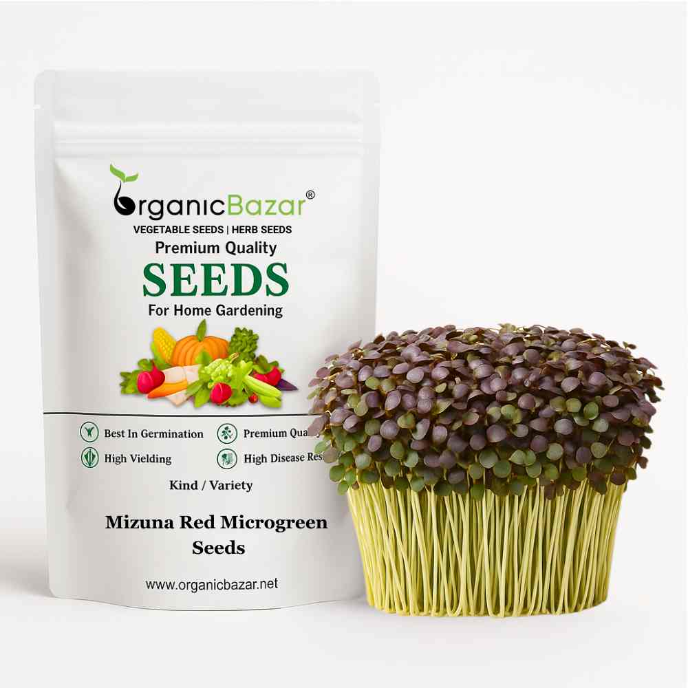 Mizuna Red Microgreen Seeds (3g Seeds)