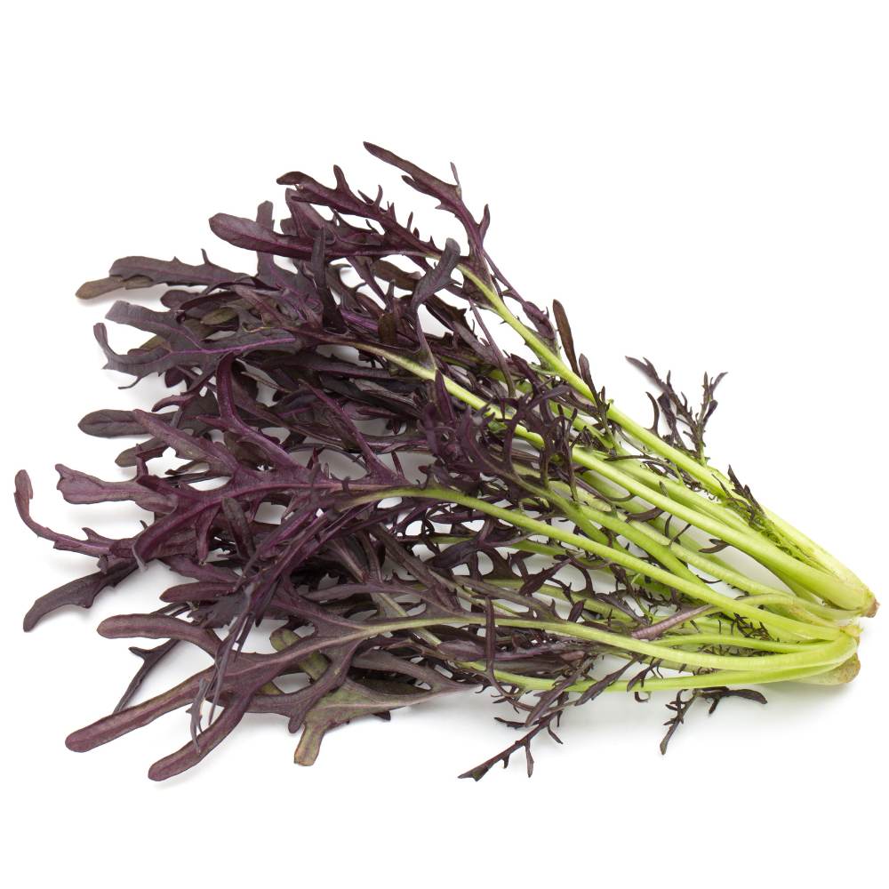 Mizuna Red Seeds (200 Seeds)