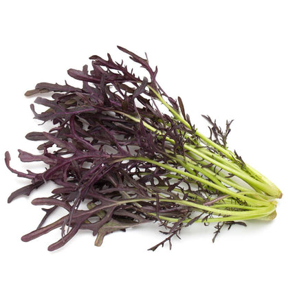 Mizuna Red Seeds (200 Seeds)