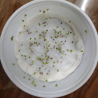 Mizuna Red Seeds (200 Seeds)