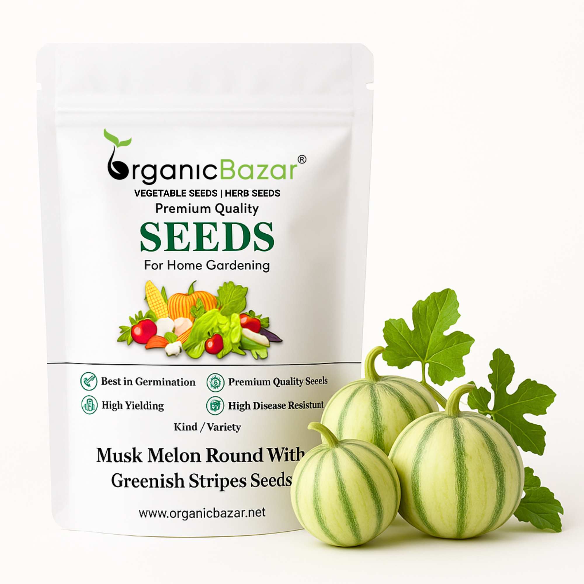 Musk Melon Round With Greenish Stripes F1 Hybrid Seeds (12 Seeds)