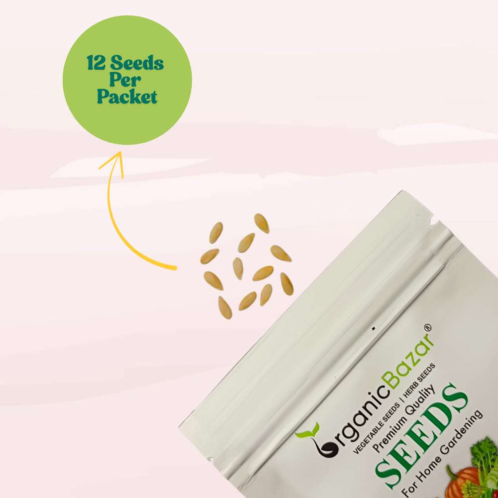 Musk Melon Round (With Small Cavity Flesh) Seeds (12 Seeds) Easy To grow, High Germination, High Yield Kharbooj Seeds for Home Gardening