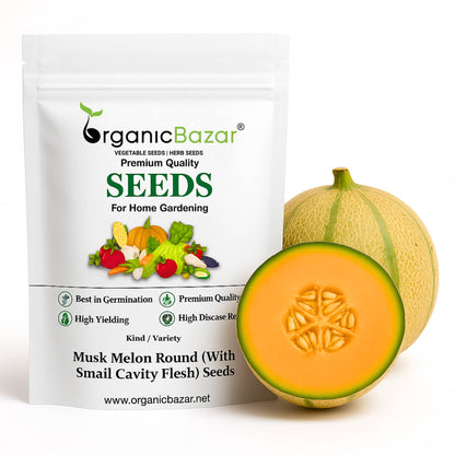 Musk Melon Round (With Small Cavity Flesh) Seeds (12 Seeds) Easy To grow, High Germination, High Yield Kharbooj Seeds for Home Gardening