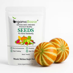 Musk Melon Kajri Seeds (12 Seeds) Easy To grow, High Germination, High Yield Kharbooj Seeds for Home Gardening