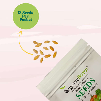 Musk Melon Kajri Seeds (12 Seeds) Easy To grow, High Germination, High Yield Kharbooj Seeds for Home Gardening