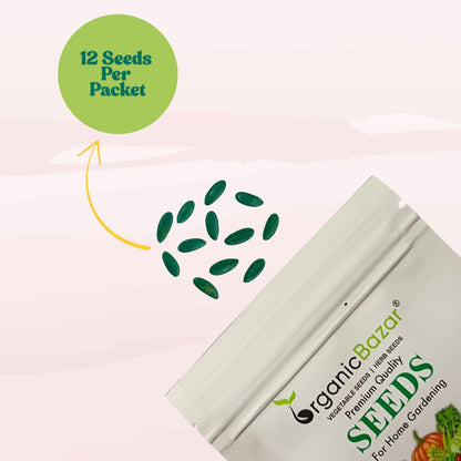 Musk Melon Seeds - 12 Seeds  (kharabooja/खरबूजा के बीज) Easy To grow, High Germination, High Yield Kharbooj Seeds for Home Gardening