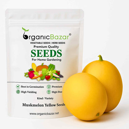 Muskmelon Yellow Seeds (12 Seeds) (kharbooja/ खरबूजा)