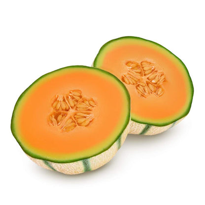 Musk Melon Round (With Small Cavity Flesh) Seeds (12 Seeds) Easy To grow, High Germination, High Yield Kharbooj Seeds for Home Gardening