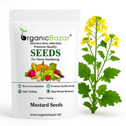 Mustard (Sarson) Seeds (सरसों के बीज) - 1000 Seeds
