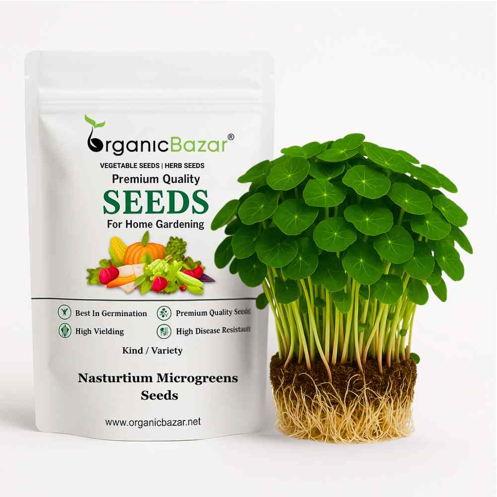 Nasturtium Microgreens Seeds (20g)
