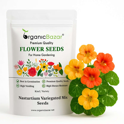 Nasturtium Variegated Mix Seeds (20 Seeds)