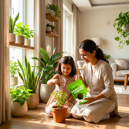 neem cake for potted plants Neem Cake Powder (Neem khali) for Plants – Organicbazar