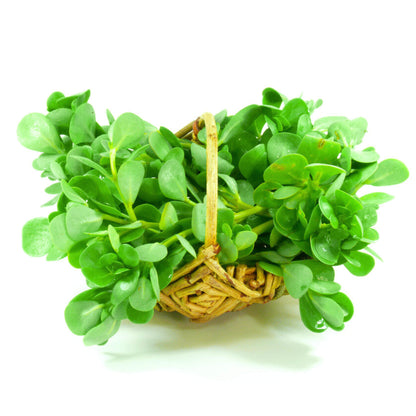 Noniya Saag or Kulfa Ki Bhaji Seeds - 5g (नोनिया साग/कुल्फा की भाजी)