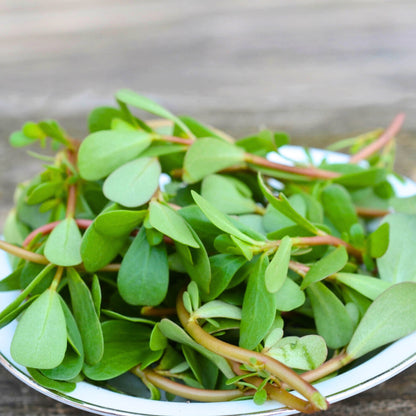 Noniya Saag or Kulfa Ki Bhaji Seeds - 5g (नोनिया साग/कुल्फा की भाजी)