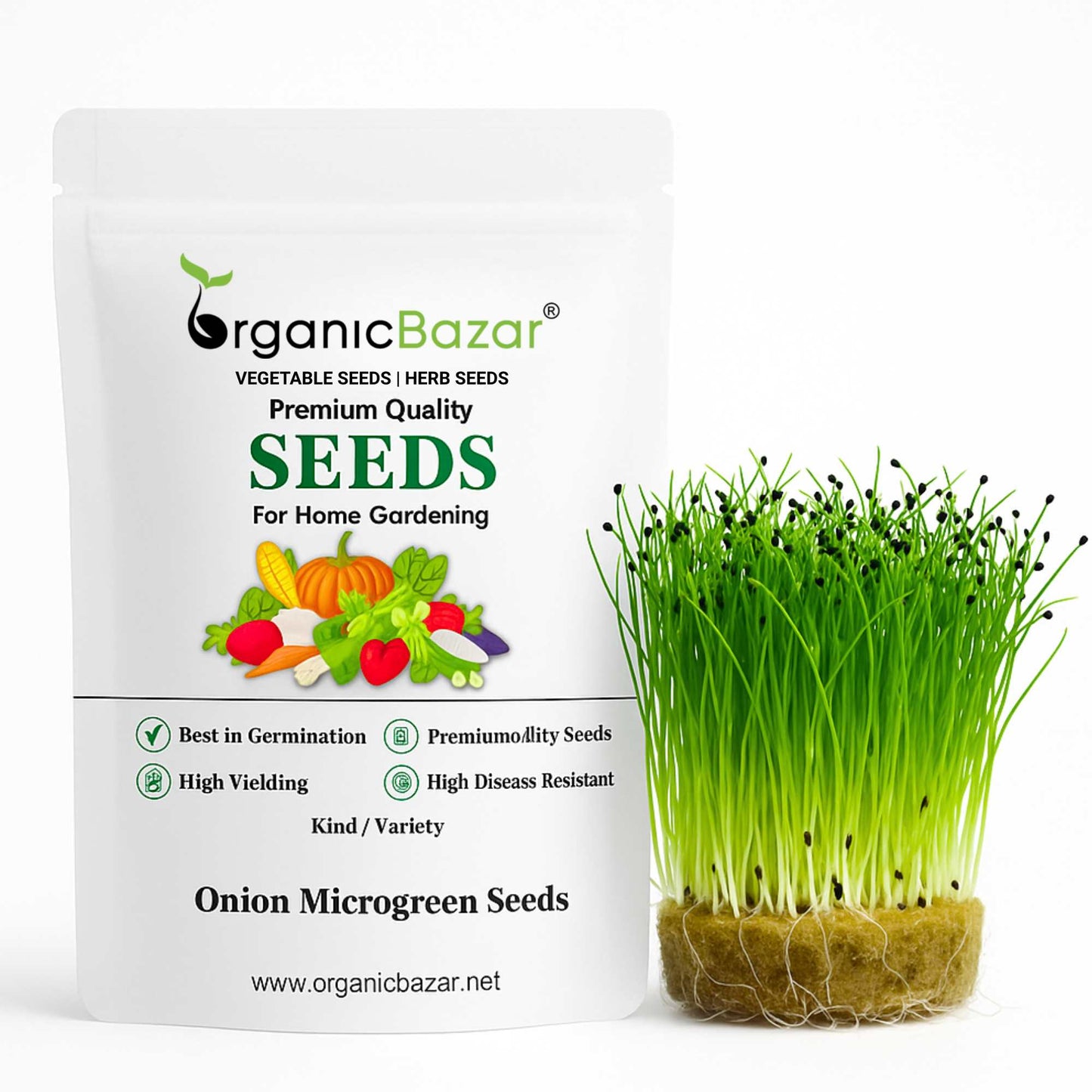 Onion Microgreen Seeds (25g)