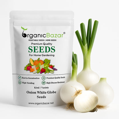 Onion (Pyaj) White Globe Seeds - 500 Seeds (सफेद प्याज के बीज) High Yield/High Germination/Best Seeds for Terrace Gardening