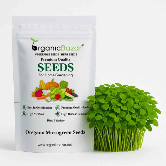 Oregano Microgreen Seeds (1g Seeds)