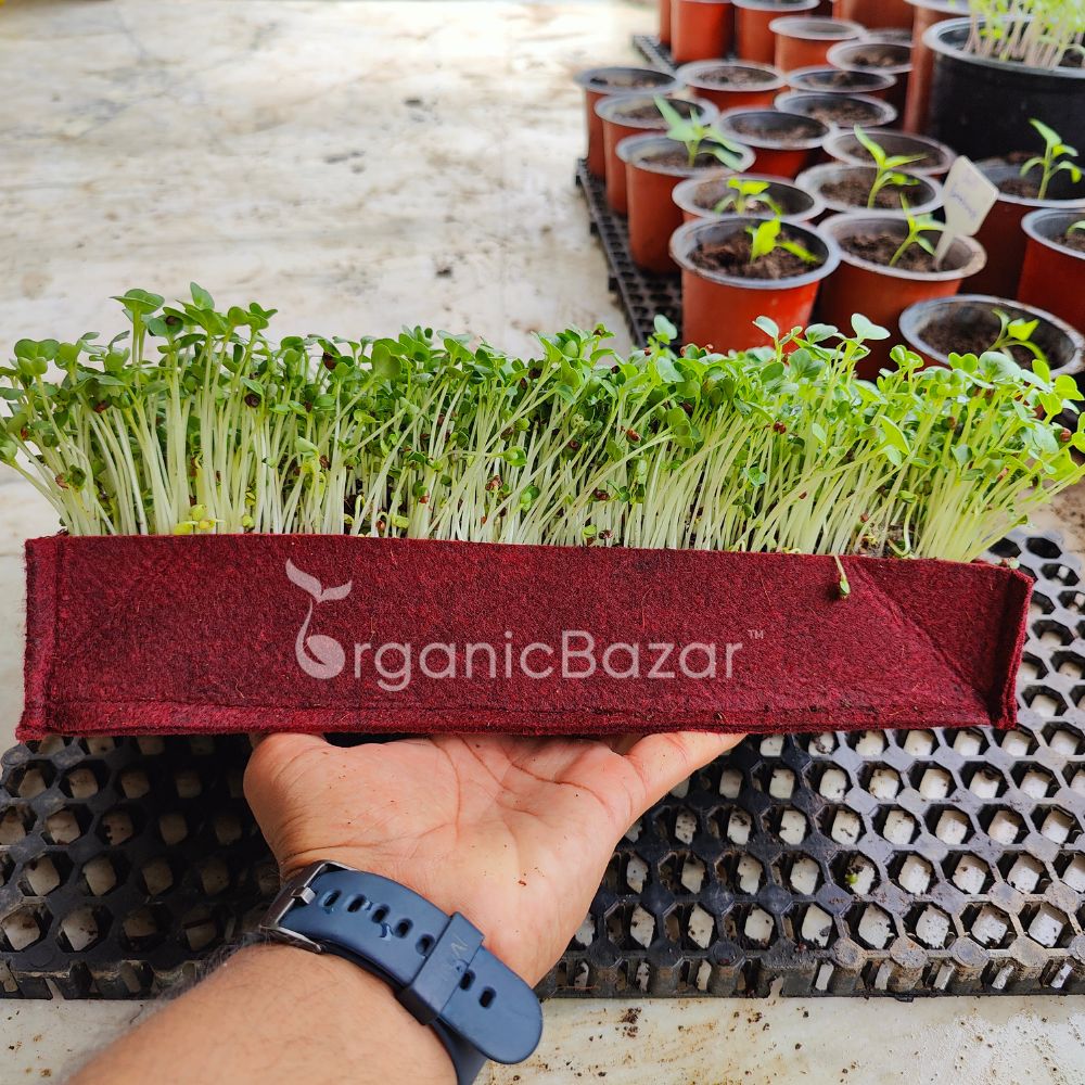 OrganicBazar Geo Fabric Microgreens/Tray Grow Bags For Home & Terrace Garden