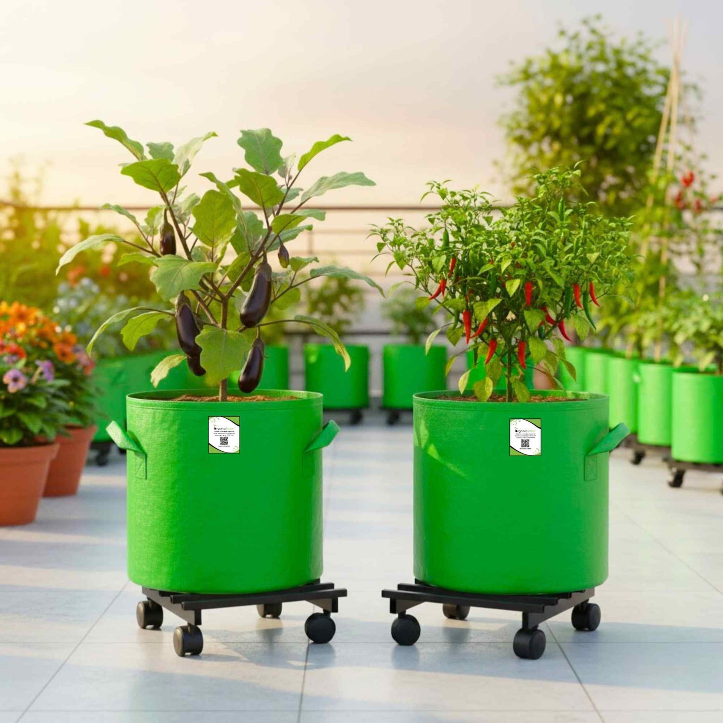 OrganicBazar Heavy Duty Plant Stand with Wheels | Plant Caddy with Wheel | Wheel Pot Trolley for Balcony, Indoor & Outdoor Garden | Rust-Proof Metal Gamla Stand (Black, Pack of 2)