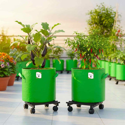 OrganicBazar Heavy Duty Plant Stand with Wheels | Plant Caddy with Wheel | Wheel Pot Trolley for Balcony, Indoor & Outdoor Garden | Rust-Proof Metal Gamla Stand (Black, Pack of 2)