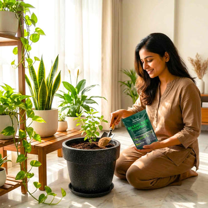 Organic Rock Phosphate Fertilizer for Gardening (900 GM)