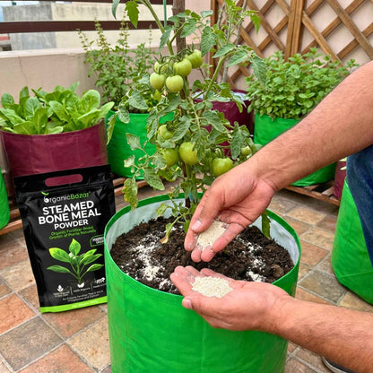 Organic Steamed Bone Meal Fertilizer for Plants, Slow Release Powder