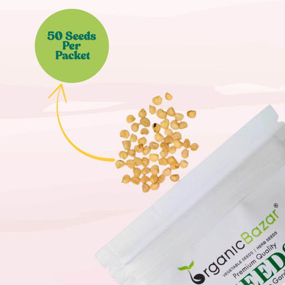 Ornamental Chilly Choice Mix Seeds - (50 Seeds) High Yield | High Germination | Best for Home Gardens (मिर्च के बीज)