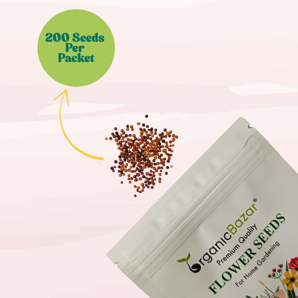 Ornamental Kale Round Leaves Mix Seeds - 200 Seeds (Flowering Kale / सजावटी गोभी के बीज) Easy To Grow, High Germination, Perfect for pots, balconies, or Terrace gardens