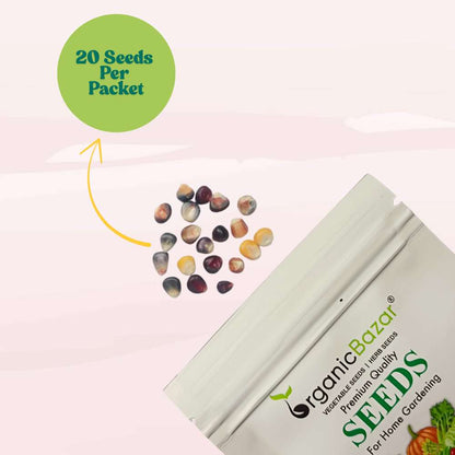 Ornamental Multi Color Corn Seeds - 20 Seeds (Makka/मक्का के बीज) High Germination, Easy to Grow, Premium Quality Ornamental Corn Seeds for Kitchen Gardening