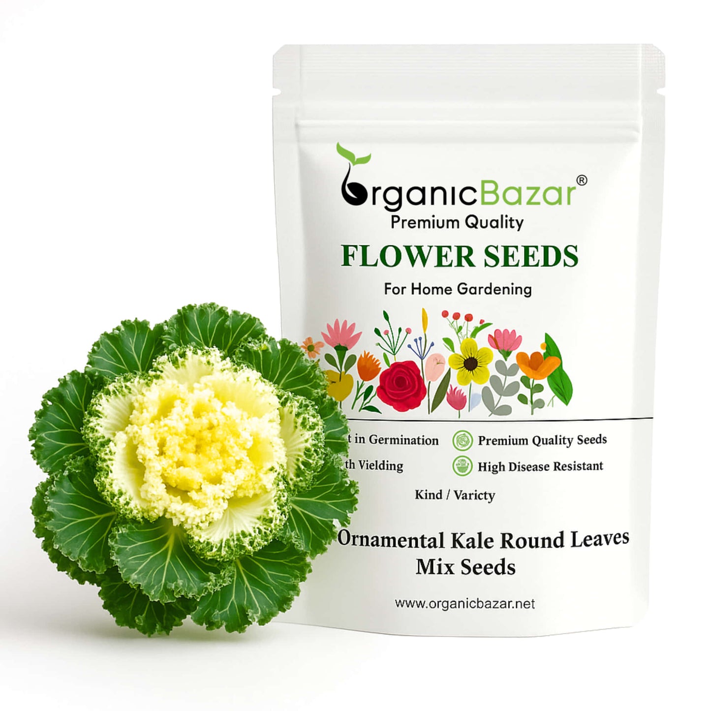 Ornamental Kale Round Leaves Mix Seeds - 200 Seeds (Flowering Kale / सजावटी गोभी के बीज) Easy To Grow, High Germination, Perfect for pots, balconies, or Terrace gardens