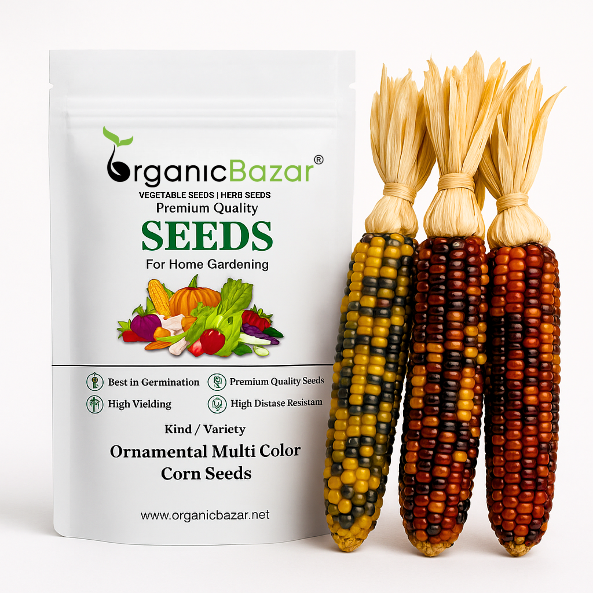 Ornamental Multi Color Corn Seeds - 20 Seeds (Makka/मक्का के बीज) High Germination, Easy to Grow, Premium Quality Ornamental Corn Seeds for Kitchen Gardening