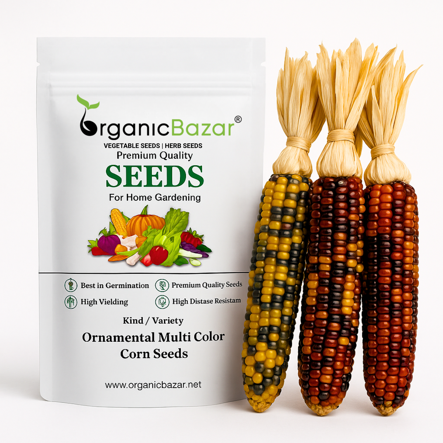 Ornamental Multi Color Corn Seeds - 20 Seeds (Makka/मक्का के बीज) High Germination, Easy to Grow, Premium Quality Ornamental Corn Seeds for Kitchen Gardening