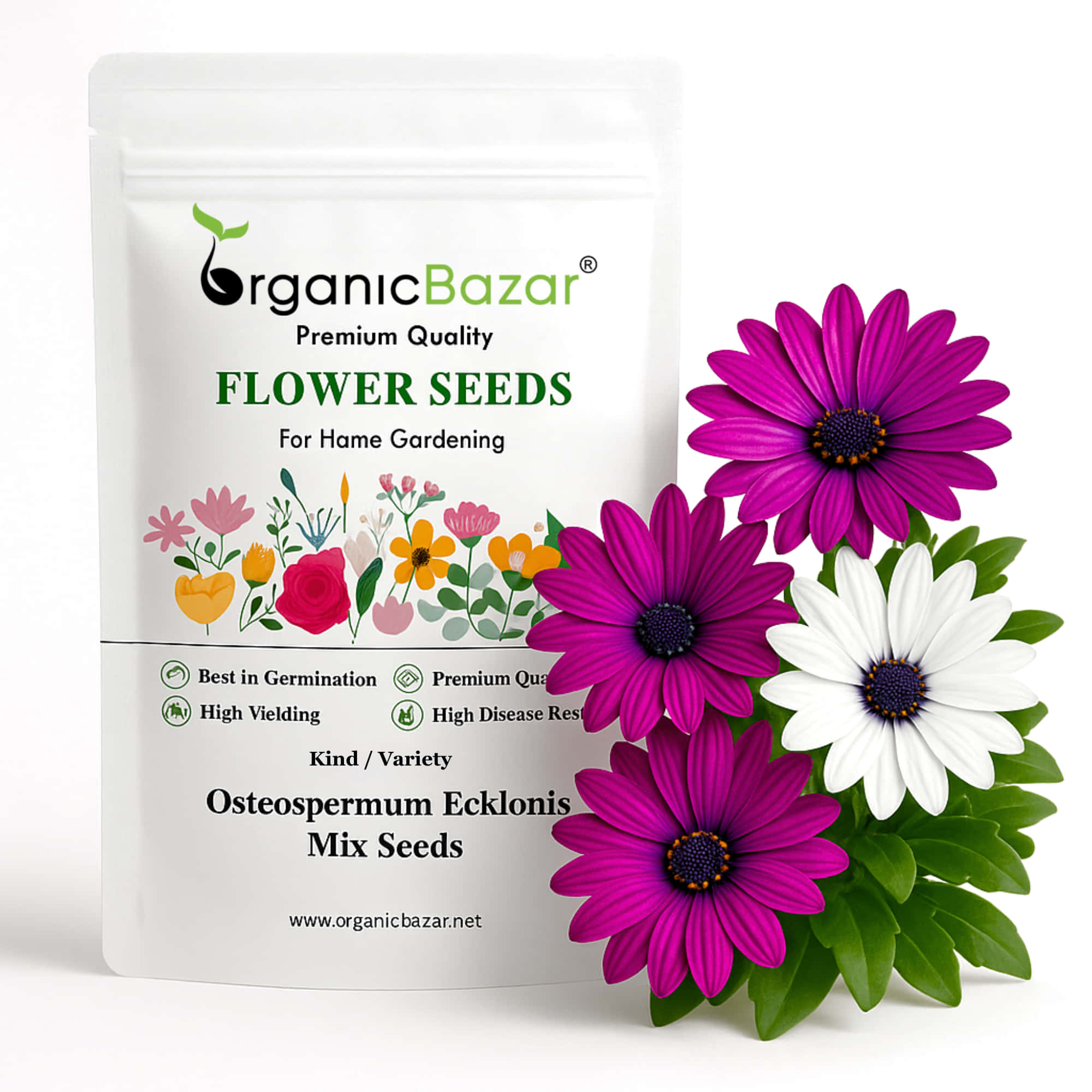 mayford flower seeds Buy best Quality Osteospermum Ecklonis Mix Seeds – Organicbazar