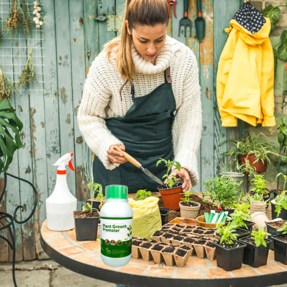 Organic Plant Growth Promoter (Liquid Fertilizer)