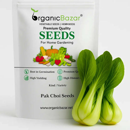 Pak Choi (Bok Choi) Seeds - 150 Seeds (पाक चोई के बीज)