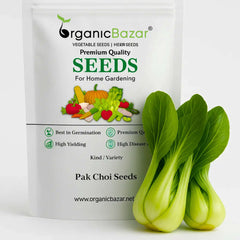 Pak Choi (Bok Choi) Seeds - 150 Seeds (पाक चोई के बीज)