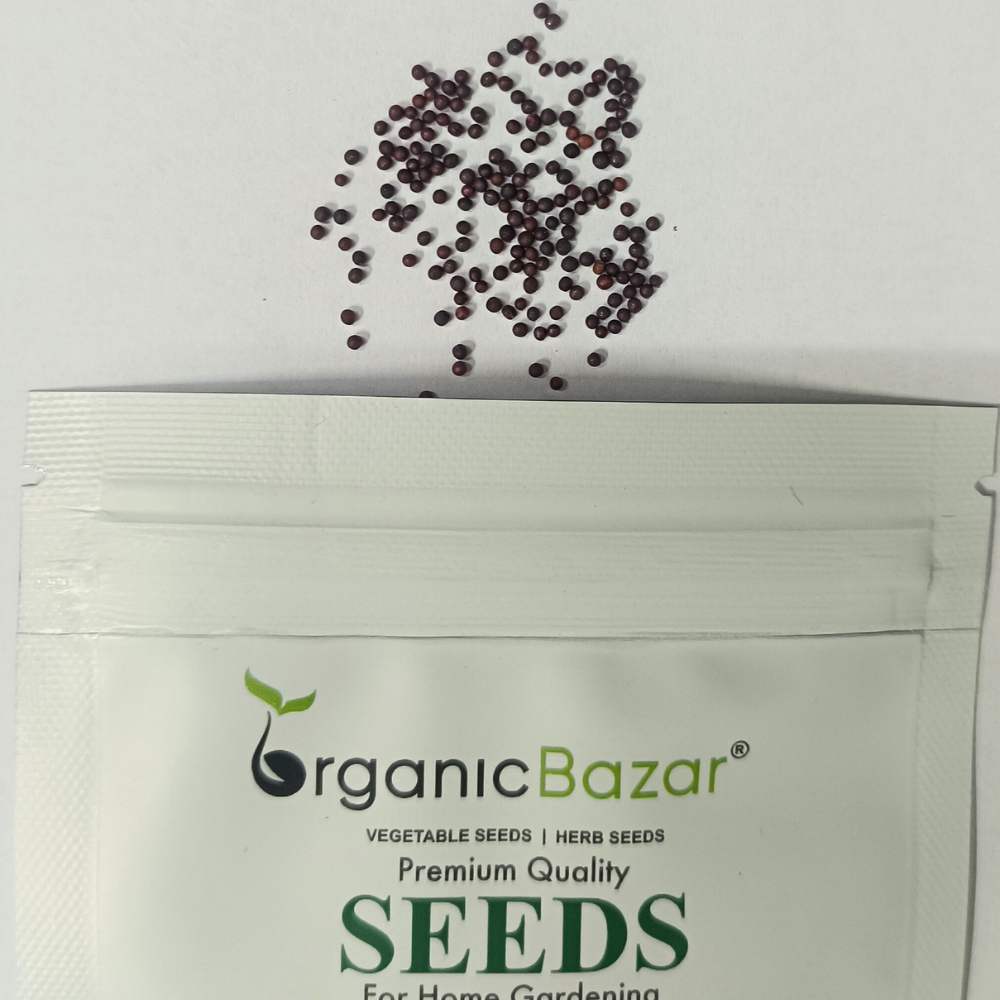 Pak Choi (Bok Choi) Seeds - 150 Seeds (पाक चोई के बीज)