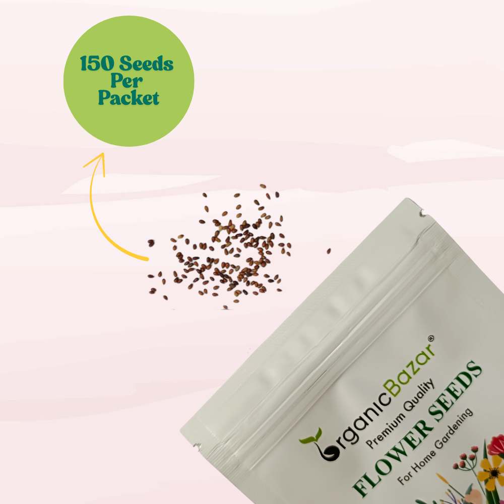 Pansy Swiss Giant Blue seeds (150 Seeds) Easy To Grow, High Germination, Perfect for pots, balconies, or Terrace gardens