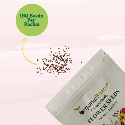 Pansy Swiss Giant Blue seeds (150 Seeds) Easy To Grow, High Germination, Perfect for pots, balconies, or Terrace gardens