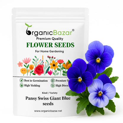 Pansy Swiss Giant Blue seeds (150 Seeds) Easy To Grow, High Germination, Perfect for pots, balconies, or Terrace gardens