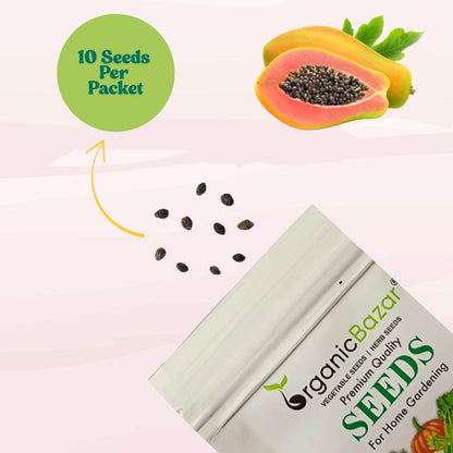Papaya Seeds  - 10 Seeds (Papita ke beej/पपीता के बीज) High Germination,High-yielding and fast-growing