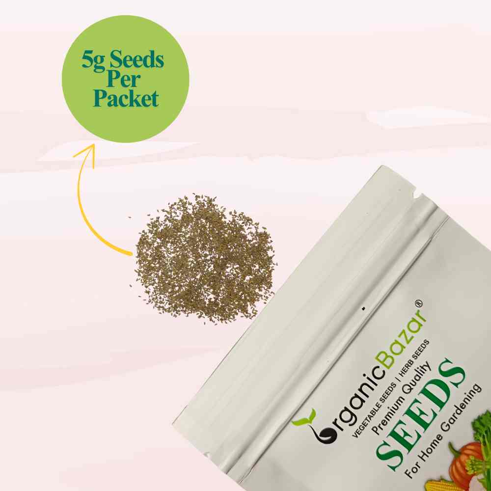 Parsley Microgreen Seeds (5g)