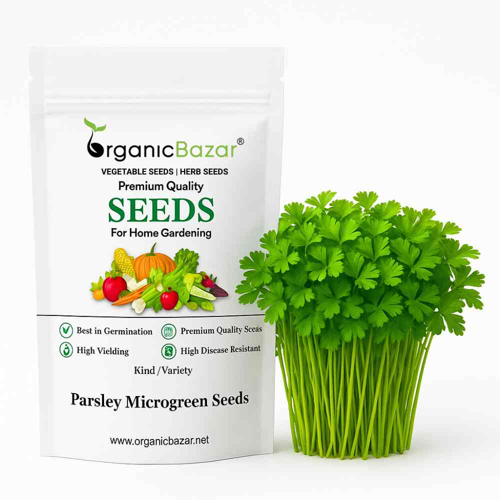 Parsley Microgreen Seeds (5g)